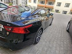 نيسان ماكسيما